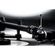 imageUrl_8