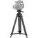 imageUrl_10