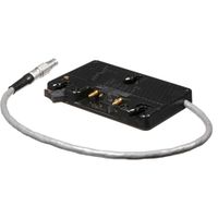 Anton/Bauer Placa de Montaje Gold Mount para Canon EOS C300 Mark II con D-Tap