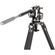 imageUrl_6