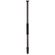 imageUrl_5