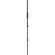 imageUrl_6