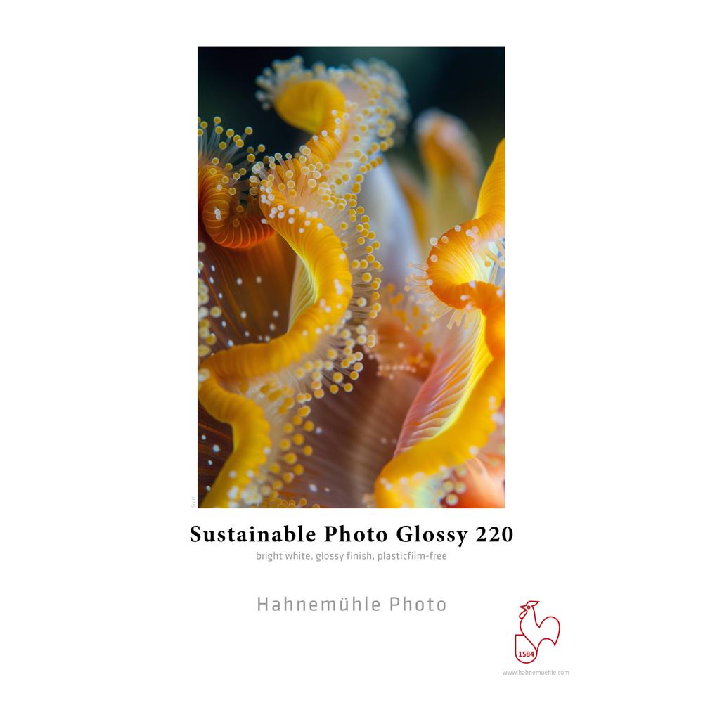 Hahnemuhle Papel Fotográfico Glossy 220 - 44"" x 100' Roll, 100% Celulosa Alpha, 220 gsm,