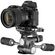 imageUrl_7