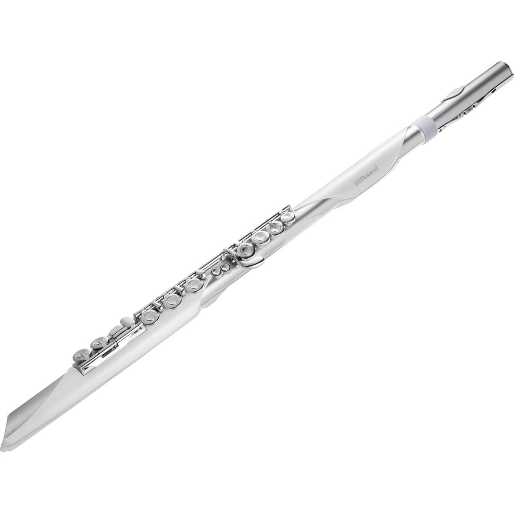 Roland Aerophone Brisa Instrumento de Viento Digital con SuperNATURAL Winds, Más de 100 T