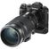 imageUrl_4