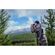 imageUrl_10