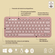 imageUrl_7