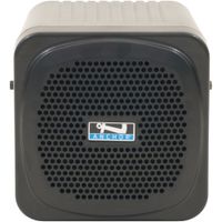 Anchor Audio AN-30U2BT Monitor de Altavoz Potenciado con Micrófono Inalámbrico y Bluetoo