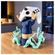 imageUrl_5