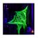 imageUrl_2