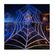 imageUrl_2