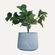 imageUrl_3