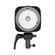 imageUrl_7
