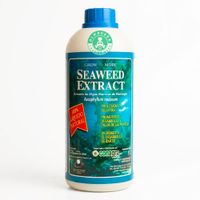 Seaweed Extract - 1 Litro - Extracto De Algas Marinas - GrowMore