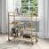 imageUrl_2