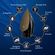 imageUrl_7