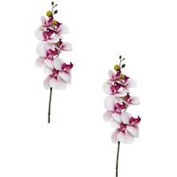 Pack de 2 Varas Artificiales De Orquidea Lila Con 7 Petalos BG301464-7 FLORIPASTORE