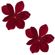imageUrl_1