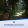 imageUrl_6