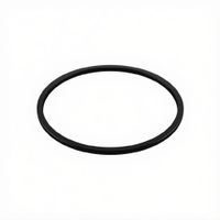 Aro de goma para licuadora personal Xpert BLSTXPN7002-053