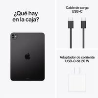 Apple Ipad Pro 11 Chip M5 256Gb Wifi Space Black con Mica Hidrogel