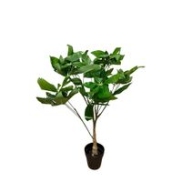 Planta Artificial Tipo Palmera De 75Cm 7427 FLORIPASTORE