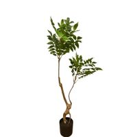 Planta Artificial Tipo Palmera De 110Cm 7442 FLORIPASTORE