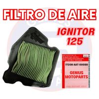 FILTRO DE AIRE IGNITOR 125 17208-AAT-00099