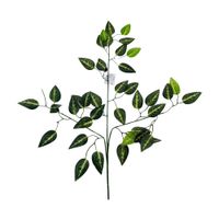 Vara Artificial Con Hojas Ficus De 63Cm BG610455-2 FLORIPASTORE