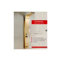 COLUMNA DE DUCHA DORADO T-039D