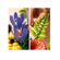 imageUrl_4