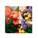 imageUrl_5