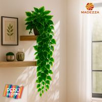 Planta Colgante Verde