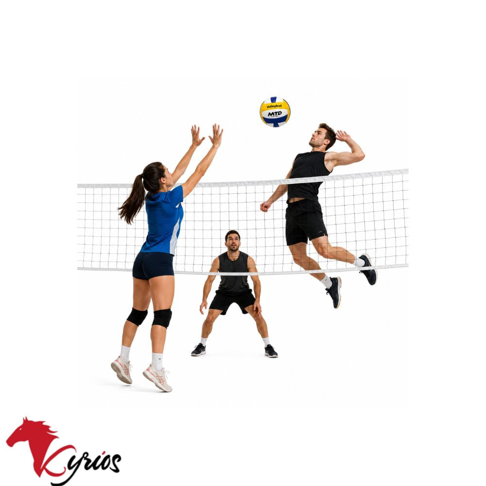 PELOTA DE VOLEYBOLL