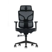 Silla de Oficina Evox Ergonómica Profesional Ultimate C17