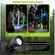 imageUrl_3