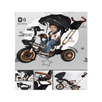 Triciclo para Niños Asiento Giratorio New Golden B