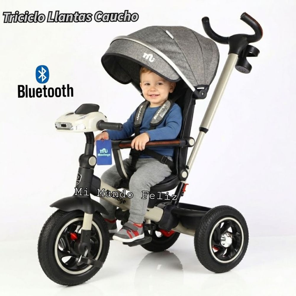 Triciclo para Niños Musical Llantas Caucho Asiento Giratorio
