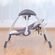 imageUrl_2