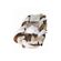 imageUrl_3