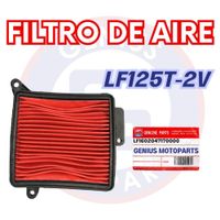 FILTRO DE AIRE LF125T-2V LF1602047170000