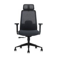 Silla de Oficina Evox Ergonómica Profesional Ultimate C21