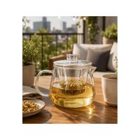 Tetera Infusora de Vidrio Borosilicato 550ML con Filtro y Tapa