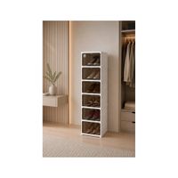 Zapatero Apilable 6 Niveles con Puertas Acrílicas