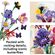 imageUrl_4