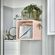 imageUrl_1