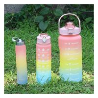 Botellas de Hidratacion Set de 3 Rosado con Tapa y Formato 2 L 1 L y 300 Ml YLigas Regalo
