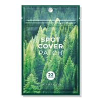 SKIN1004 Madagascar Centella Tea-Trica Spot Cover Patch 22 Parches