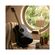 imageUrl_6